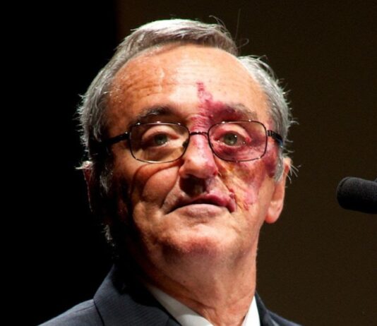 Eliminan cáncer de páncreas en ratones por primera vez