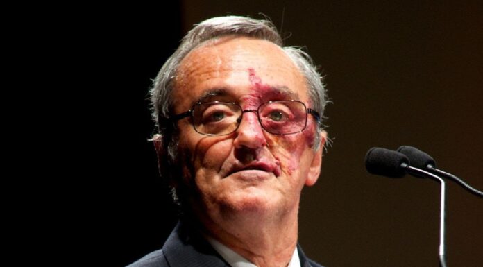 Eliminan cáncer de páncreas en ratones por primera vez