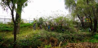 Texmelucan realiza mantenimiento y limpieza en el parque El Chamizal