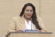 Sigue en análisis iniciativa para identidad de género en infancias trans