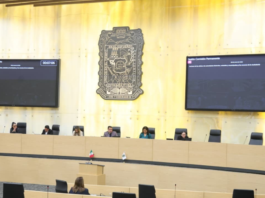 Plantean educación nutricional en escuelas de Puebla
