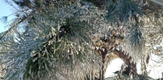 Valle Libres-Oriental amanece congelado por bajas temperaturas