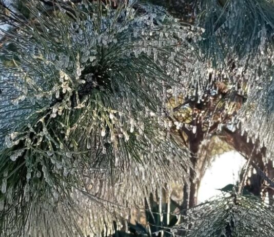 Valle Libres-Oriental amanece congelado por bajas temperaturas