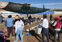 Pepe Chedraui impulsa instalación de huerto urbano en primaria de Santa Cruz Buena Vista
