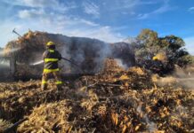 Camión de carga se incendia en Vía Atlixcáyotl y provoca cierre de circulación