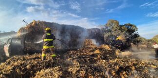 Camión de carga se incendia en Vía Atlixcáyotl y provoca cierre de circulación