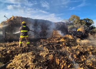 Camión de carga se incendia en Vía Atlixcáyotl y provoca cierre de circulación
