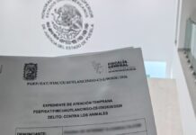 Texmelucan atiende caso de perros envenenados en Tepeyecac