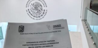 Texmelucan atiende caso de perros envenenados en Tepeyecac