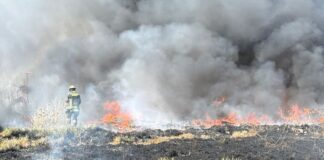 Sofocan incendio de pastizal en San Francisco Ocotlán