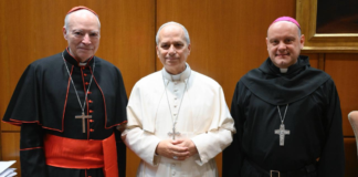 Papa León XIV reitera su “deseo e interés” de visitar México