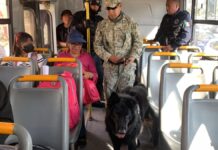 Implementan operativo “Pasajero Seguro” en la Puebla-Tehuacán