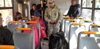 Implementan operativo “Pasajero Seguro” en la Puebla-Tehuacán