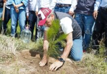 Puebla capital anuncia meta de plantar 100 mil árboles en 2026