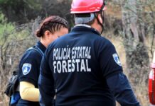 Policía Forestal de Puebla aumentará actividad durante estiaje