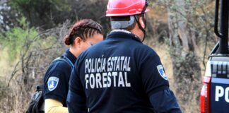 Policía Forestal de Puebla aumentará actividad durante estiaje