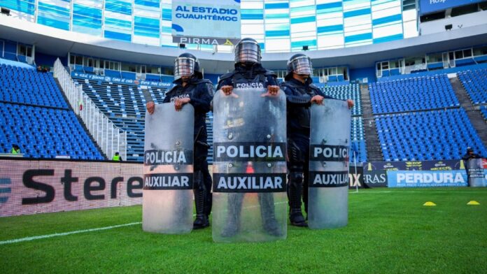 Policía auxiliar