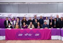 Lupita Cuautle encabeza sesiones de sistemas para igualdad de género y contra violencia