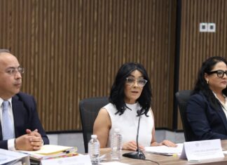 Titular de la CDH Puebla rinde informe ante Comisión del Congreso