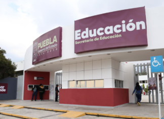 Asignación de plazas docentes, detenida temporalmente por auditoría