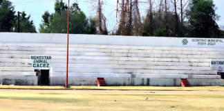 Texmelucan refuerza prohibición de venta de animales en la vía pública