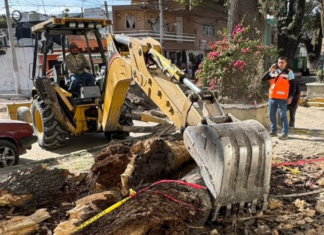 Atienden caída de ramas en San Martín Texmelucan