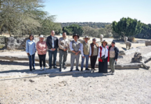 Cuautlancingo arranca campaña para reciclar árboles de Navidad