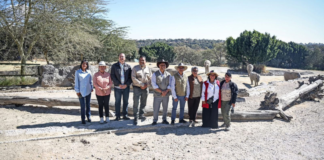 Cuautlancingo arranca campaña para reciclar árboles de Navidad