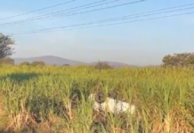 Localizan automóvil volcado en la Izúcar de Matamoros-Atencingo