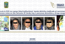 Desarticulan banda dedicada al narcomenudeo en San Salvador El Verde
