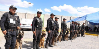 Certifican a 10 binomios caninos detectores para penales de Puebla