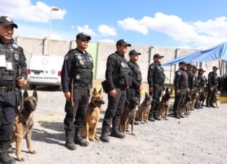 Certifican a 10 binomios caninos detectores para penales de Puebla
