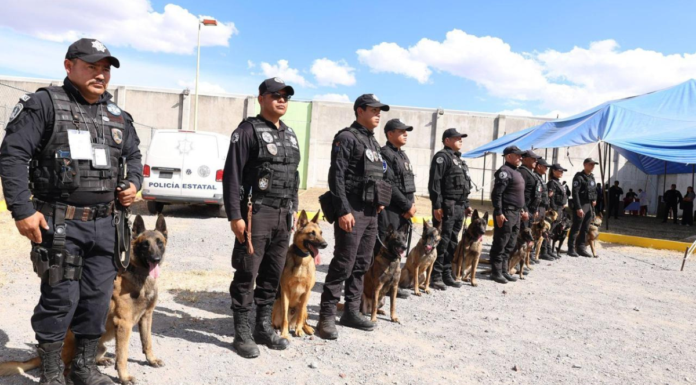 Certifican a 10 binomios caninos detectores para penales de Puebla