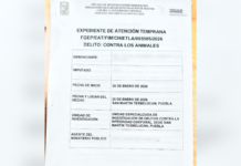 Texmelucan presenta denuncia por presunto maltrato animal