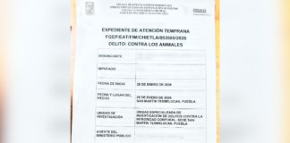 Texmelucan presenta denuncia por presunto maltrato animal