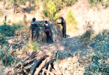 Policía Forestal elimina seis hornos clandestinos en San Nicolás de los Ranchos