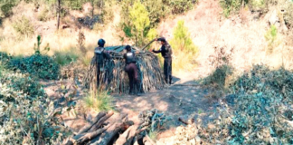 Policía Forestal elimina seis hornos clandestinos en San Nicolás de los Ranchos