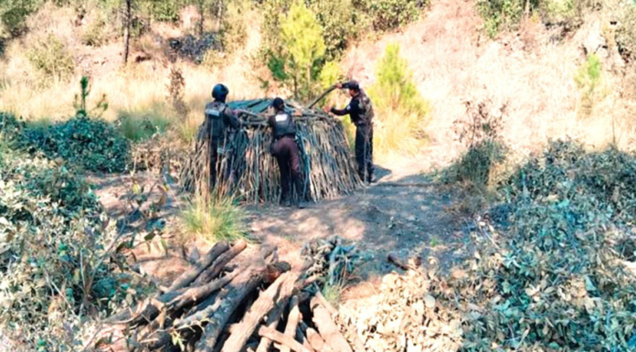 Policía Forestal elimina seis hornos clandestinos en San Nicolás de los Ranchos