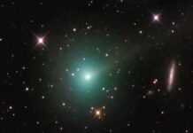 Cometa 24P/Schaumasse podrá observarse en México durante enero