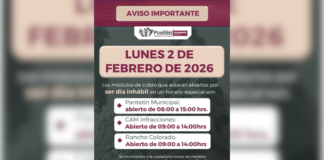 Módulos de cobro operarán con horario especial este 2 de febrero