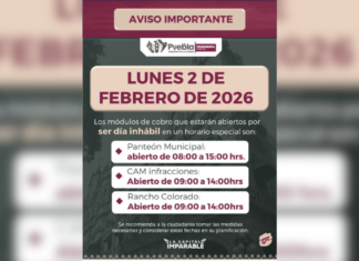 Módulos de cobro operarán con horario especial este 2 de febrero