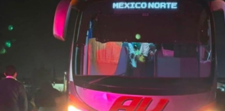 Pasajero de autobús pierde la vida en la autopista México-Puebla