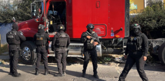 Recuperan tráiler robado en la Central de Abasto; hay un detenido