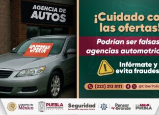 SSP alerta sobre fraudes con falsas agencias de vehículos en internet
