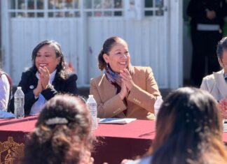 Obra Comunitaria atiende proyectos locales en 12 vertientes: Laura Artemisa