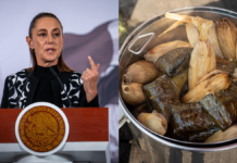 Sheinbaum ordena investigar caso de fentanilo en tamales de Puebla