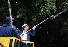 Lupita Cuautle encabeza jornada de limpieza en Boulevard Vicente Lombardo