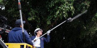 Lupita Cuautle encabeza jornada de limpieza en Boulevard Vicente Lombardo