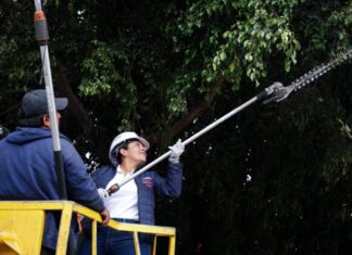 Lupita Cuautle encabeza jornada de limpieza en Boulevard Vicente Lombardo