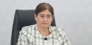 Celina Peña deja la SECIHTI Puebla para sumarse al Gobierno federal